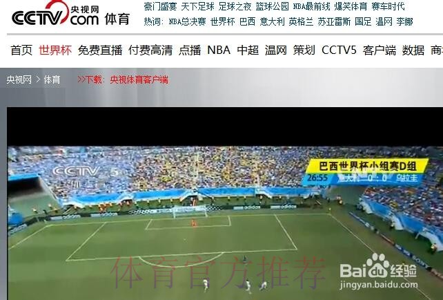 苹果设备观看世界杯直播的合法途径